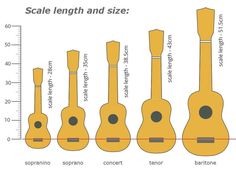 an image of guitar sizes and their corresponding positions in the diagram, with measurements for each instrument