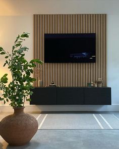 there is a plant in the vase next to the wall mounted television on the wall