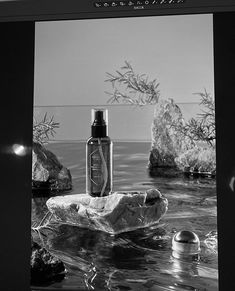 COMYENN | Rosemary Verbenone & Damask Rose HYDROLAT on Behance