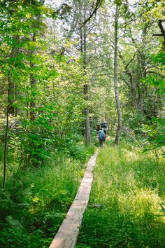 a person is riding on a wooden path through the woods with green grass and trees