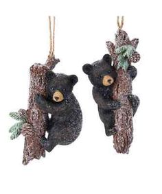 two black bears are hanging on the tree