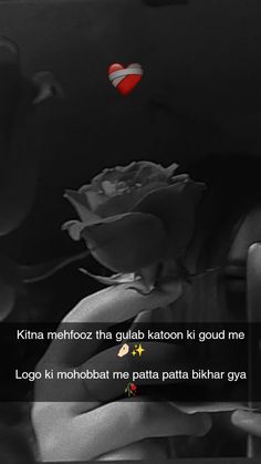 a black and white photo with a red rose in the middle, texting that reads kitna merhifoz tha quta kalon kion kiloon kio kri good me