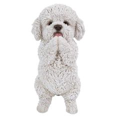 a white dog with its paws on his chest and mouth wide open, standing in front of a white background