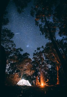 two people sitting around a campfire under the stars in the night sky above them