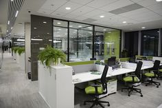 an office cubicle with green and white chairs, plants on the desks, and large windows