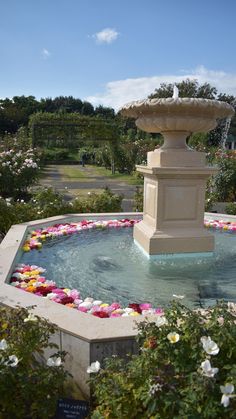 a water fountain with flowers around it