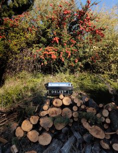 a pile of logs sitting in front of a tree filled with red flowers and trees