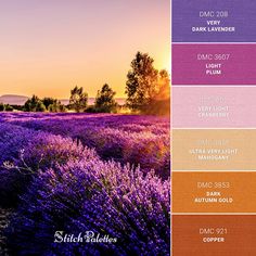 the color scheme for different shades of lavender