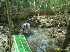 a man standing in the middle of a river next to a green net filled with water