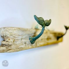 a piece of driftwood that has been placed on the wall