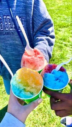 three scoops of ice cream are being held by two people in the grass with their hands