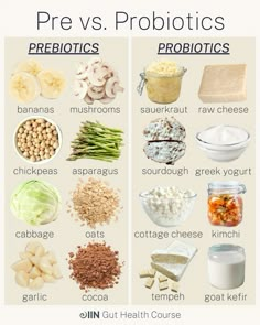 an image of probiotics and prebiotics that are good for the body