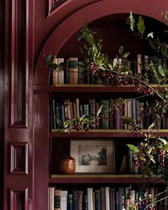 a bookshelf filled with lots of books next to a red door