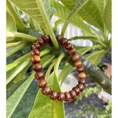 Koa Wood Bead Bracelet 8mm - Makana Hut Jade Necklace Pendant, Tiki Statues, Fish Hook Necklace, Tropical Jewelry, Hawaiian Tiki, Hook Necklace, Wood Bead Bracelet, Tropical Home Decor, Koa Wood