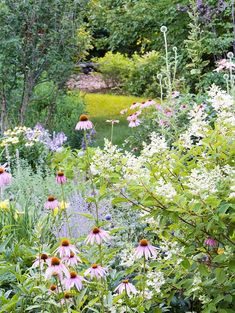 the garden is full of flowers and plants