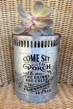 a small potted plant sitting on top of a wicker chair