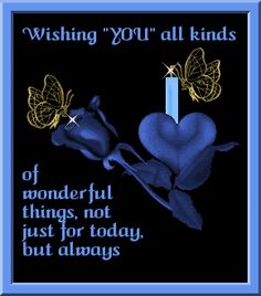 a blue frame with two butterflies on it and the words wishing you're all kinds of wonderful things, not just for today, but always