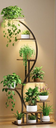 an indoor plant stand with potted plants on it