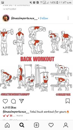 an image of the back workout