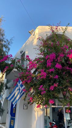 pink flowers are growing on the side of a white building with blue and yellow accents