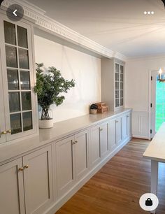 an empty kitchen with white cabinets and wood flooring is pictured in this image, there are plants on the counter