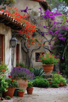 an outdoor garden with potted plants and flowers in front of a stucco building,