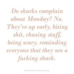 a quote that reads, do sharks complain about monday? no they're early