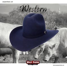 #westpointhats_usa 
It’s on u
#felthat #premiumwool #hat 
#cowboyhat #cowboyhats 
#westpointhats🤠 
#sombreroswestpoint 

Wapp 4761233084
tienda.westpointhats.com 
westpointhats.com