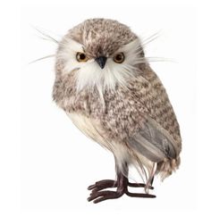 an owl is standing on its hind legs and looking at the camera with one eye open