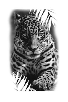 a black and white photo of a leopard with palm leaves on it's head