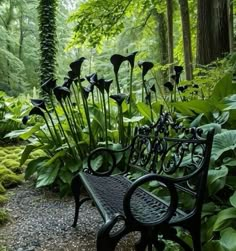 a bench in the middle of a lush green forest filled with tall plants and flowers