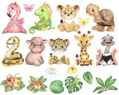 a group of different animals and plants on a white background