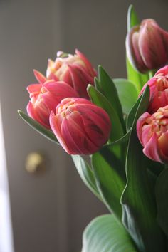 some pink flowers are in a vase with green leaves on the side and a door behind them