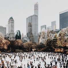 a large group of people skating on an ice rink in front of the city skyline