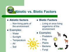 an image of the different types of plants and animals that are living in their environment