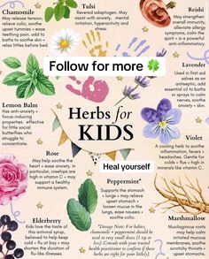 Herbs With Antibiotic Properties, Best Herbs For Joints, Medicine Herb Garden, Herbs For Calming, Natural Herbs Medicine, Herbs For Sickness, Apothecary For Beginners, Herbs For Medicine, Herbs For Colds