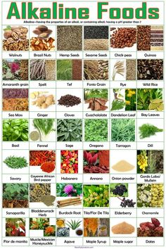 Alkaline Foods poster, Alkaline vegetables, Alkaline Fruits, Dr Sebi food list | eBay Alkaline Vegetables, Alkaline Fruits And Vegetables, Alkaline Food List, Alkaline Fruits, Food Chart, Food Health Benefits