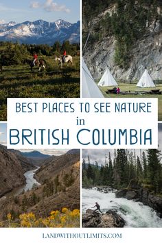 the best places to see nature in british columbia