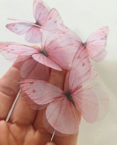 three pink butterflies are being held in the palm of someone's hand with white background