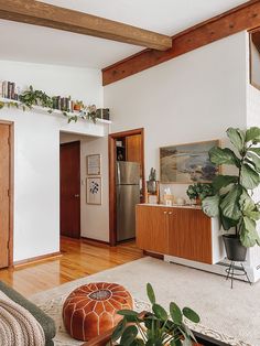 a living room filled with furniture and a potted plant