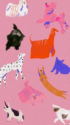 a pink background with dogs and cats drawn on the paper in different shapes, sizes and colors