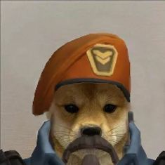 the dog is wearing a helmet and holding something in it's mouth with both hands