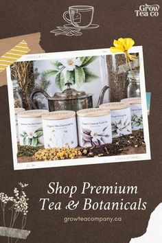 Tea Canisters with loose leaf tea, botanical art, loose leaf tea, Shop tea and botanicals, tea art and tea accessories Steeping Tea, Green Tea Benefits Health, Orange Pekoe Tea, Wellness Tea, Jasmine Tea, Pu Erh Tea