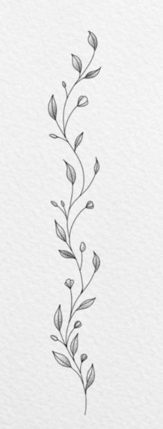 a black and white drawing of a plant with leaves on it's side, in the