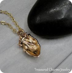 This Anatomical Heart Necklace comes on a gold-plated chain that is available in different lengths. Please choose your desired length from the drop-down menu when placing the item in your shopping cart. { CHARM DETAILS }★ Material: Bronze★ Finish Color: Bronze★ Measurements: 3/8" x 5/8"★ Dimensions: One-sided{ SIMILAR ITEMS } More heart themed items available from my shop: https://www.etsy.com/shop/treasuredcharms/search?search_query=human+heart{ GIFT OPTIONS}Gift boxes are available at no addit Anatomical Heart Necklace Gold, Human Heart Necklace, Anatomical Heart Necklace Silver, Gold Heart-shaped Brass Necklace, Bronze Heart-shaped Brass Necklace, Anatomical Heart Necklace, Antique Bronze Heart-shaped Necklaces, Human Heart, Heart Themed