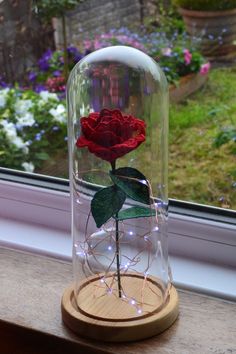 a red rose in a glass dome with fairy lights