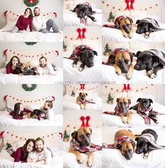 a woman and her dog are laying on the bed with their christmas decorations in front of them