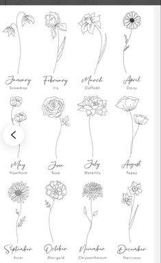 an image of flowers that are in the language of english and french, with different names