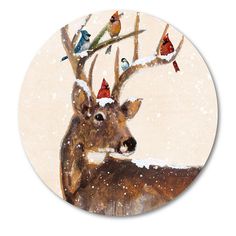 a deer with birds on it's antlers in the snow