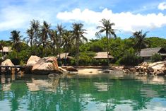 a body of water with rocks and palm trees in the background on a sunny day